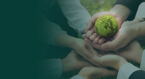 head banner 1 4 head banner 1 4